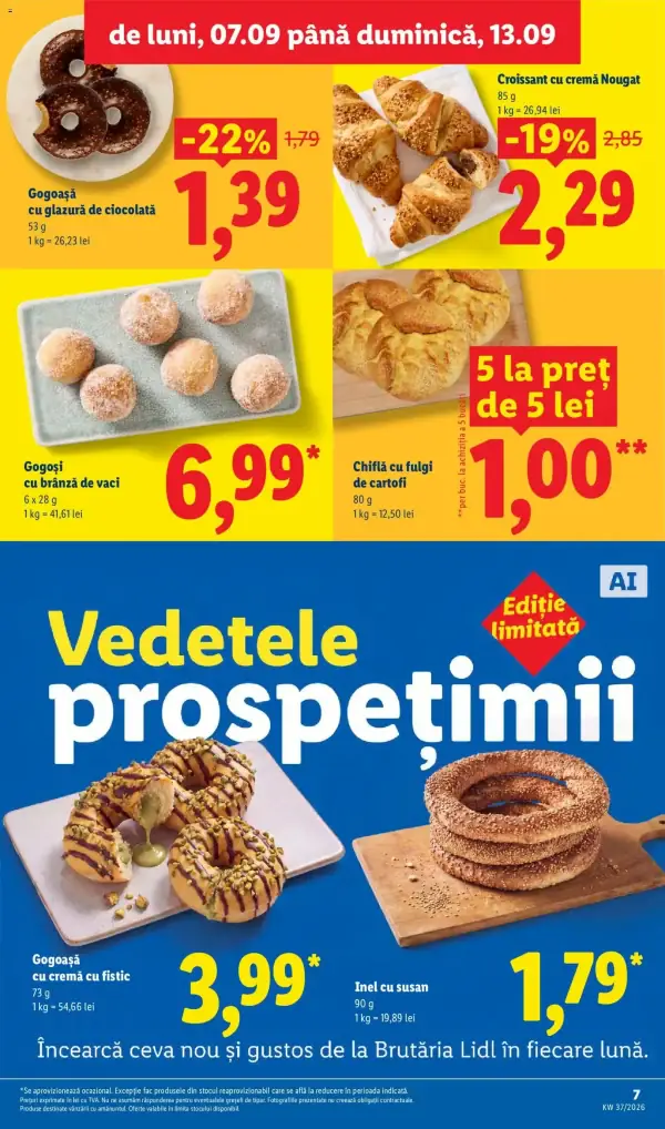 Pagina 7