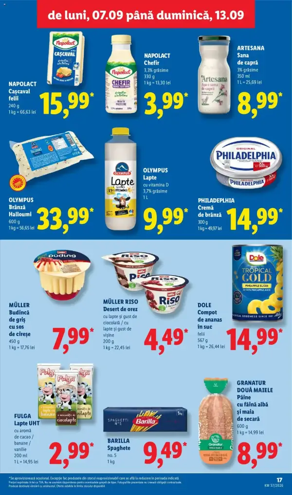 Pagina 17