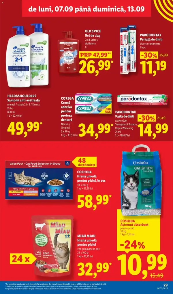 Pagina 29