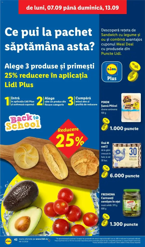 Pagina 42