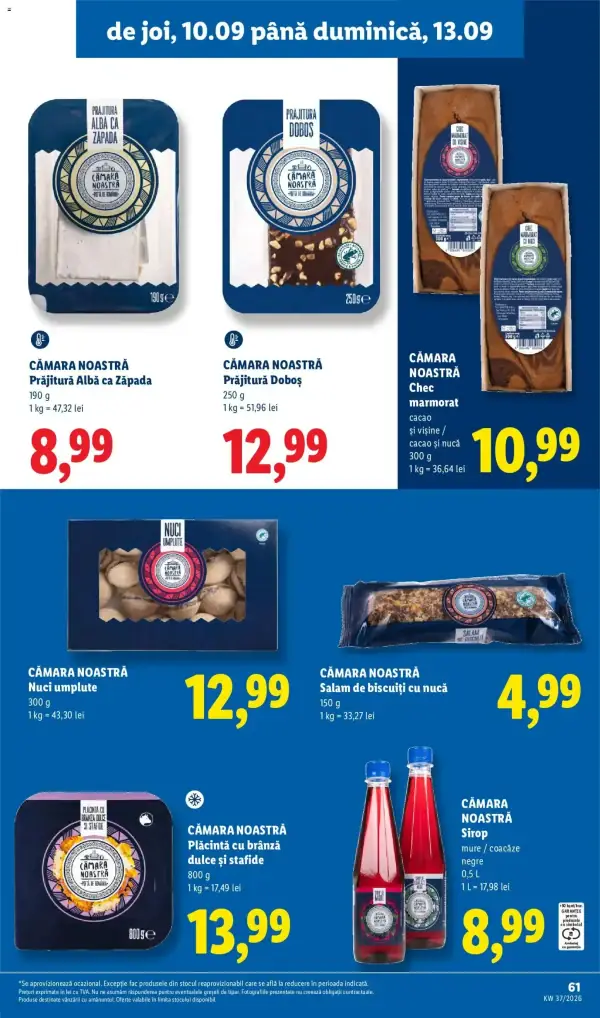 Pagina 61