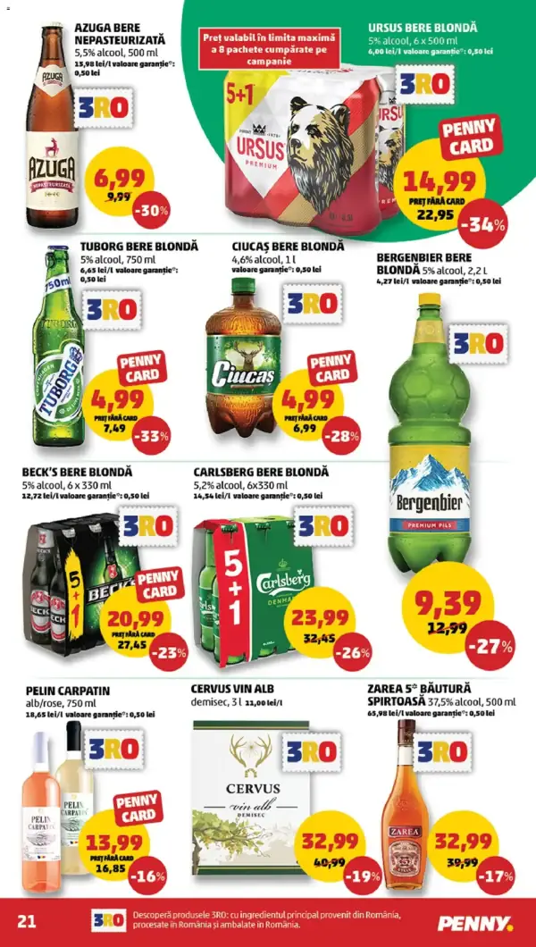 Pagina 21