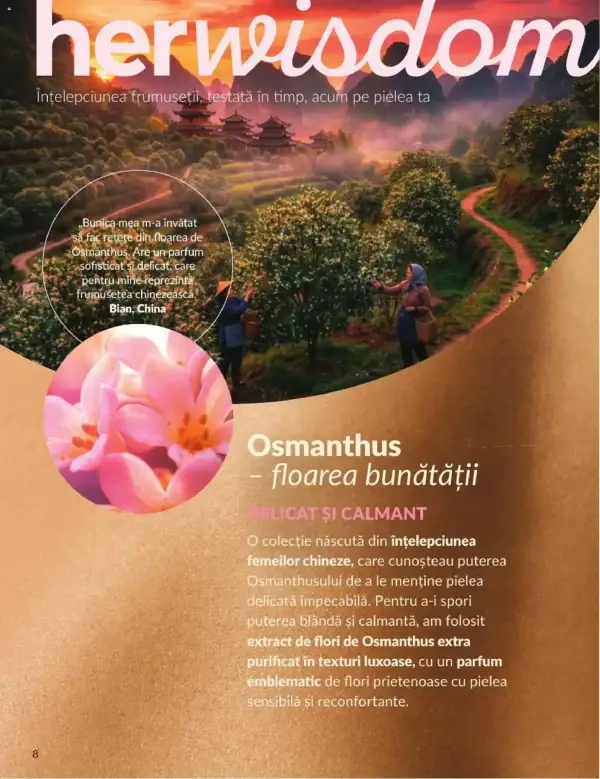Pagina 8