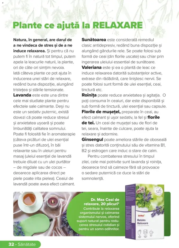 Pagina 31