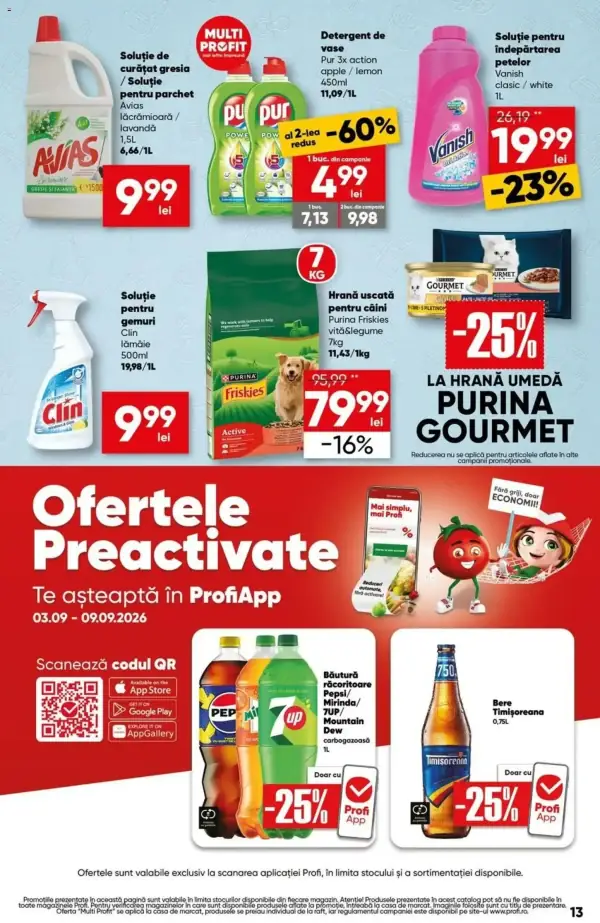 Pagina 13