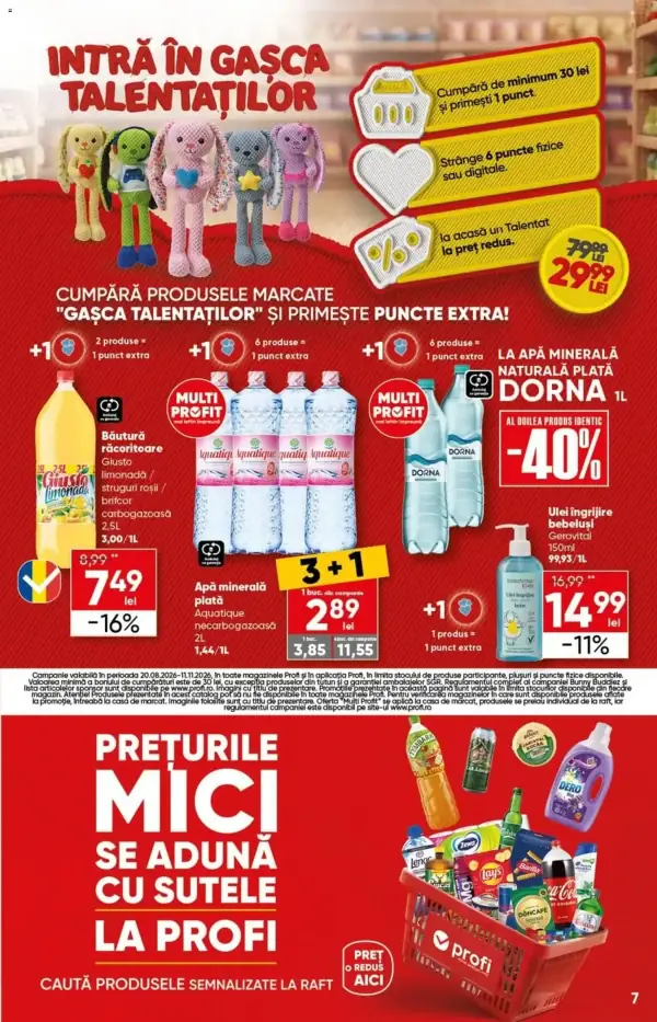 Pagina 7