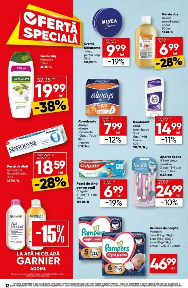 Pagina 12