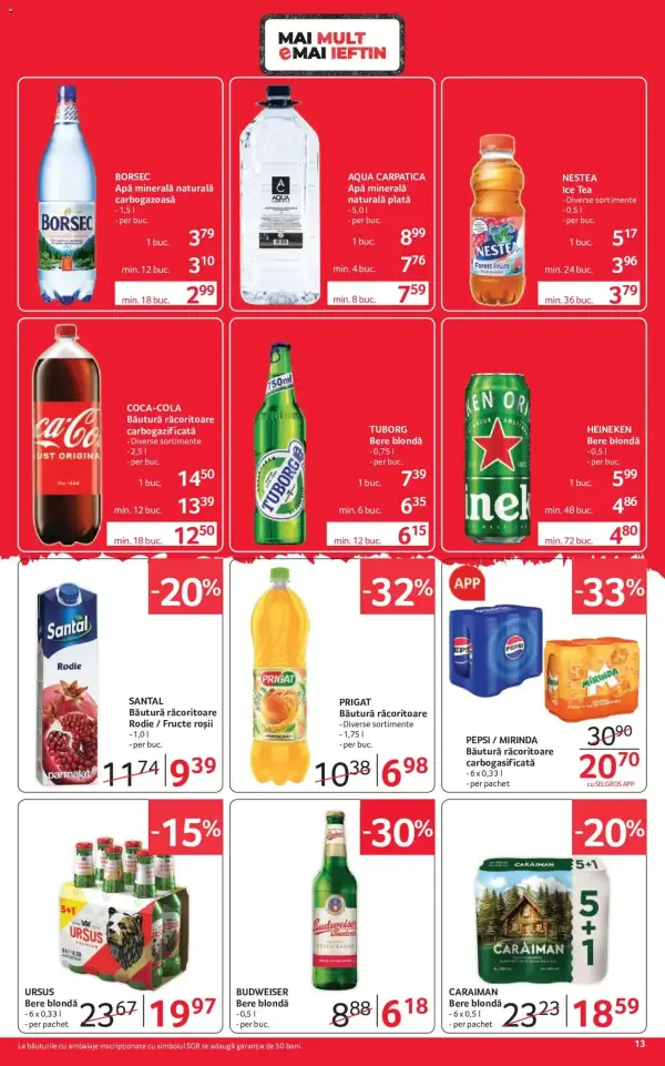 Pagina 13