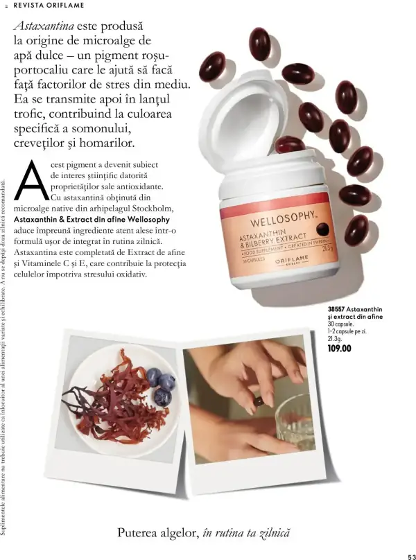 Pagina 53