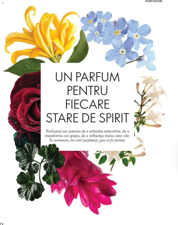 Pagina 72