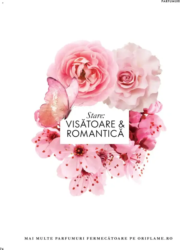Pagina 74