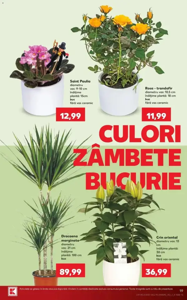 Pagina 19