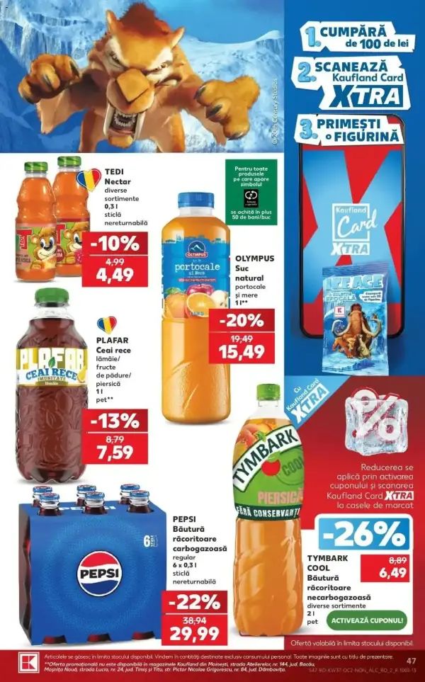 Pagina 47