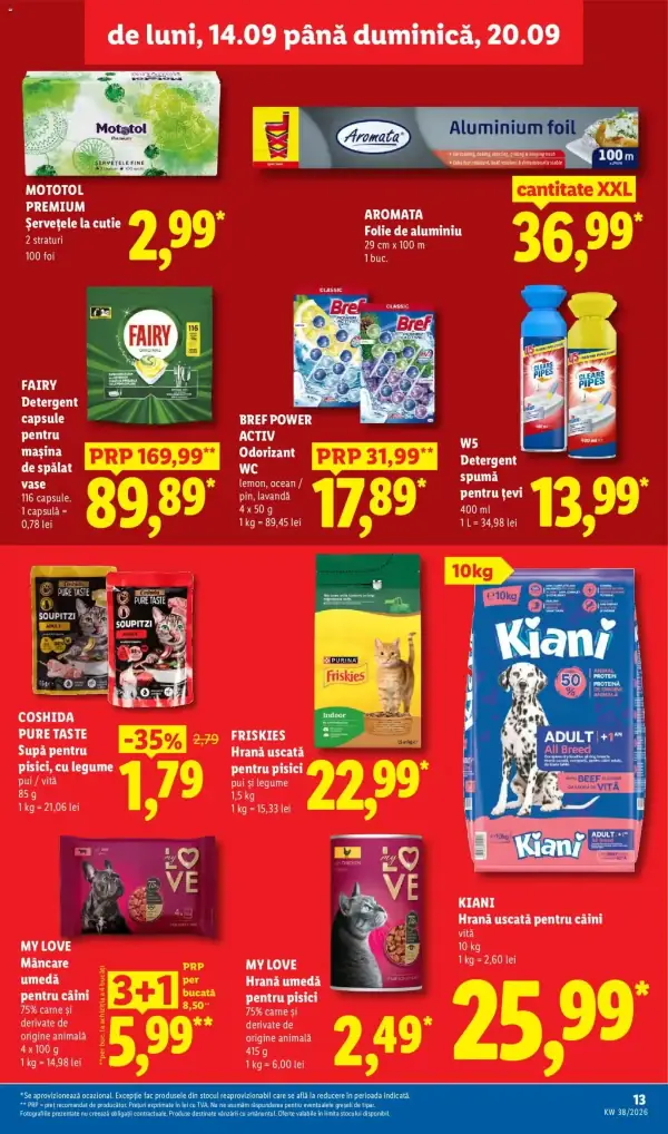 Pagina 13