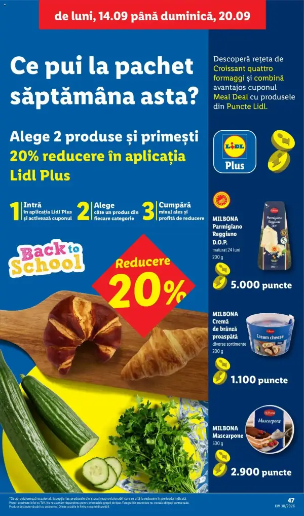 Pagina 47
