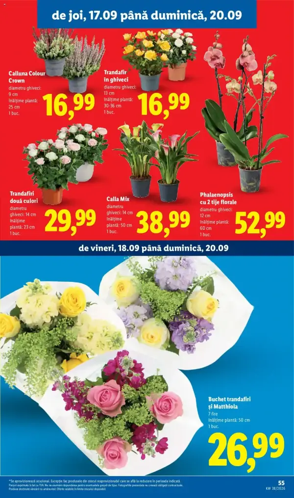 Pagina 55