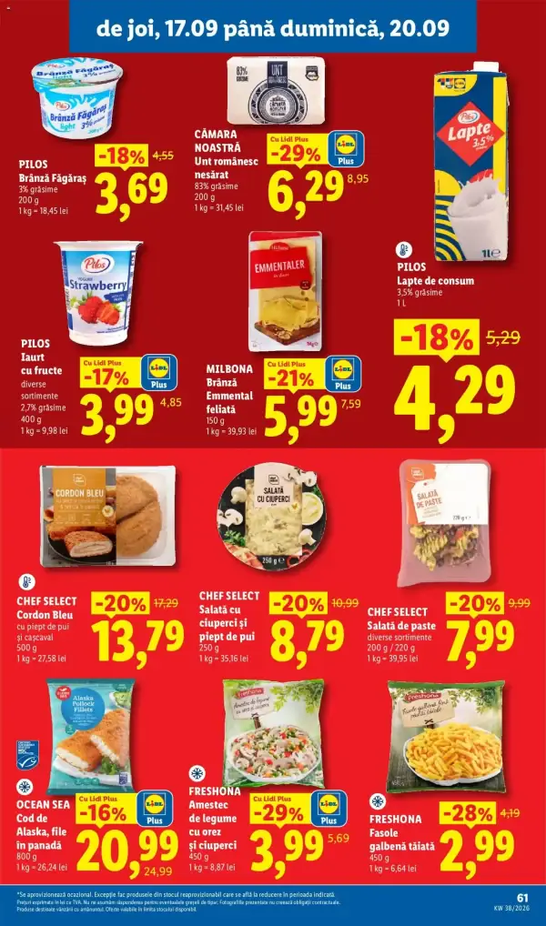 Pagina 61