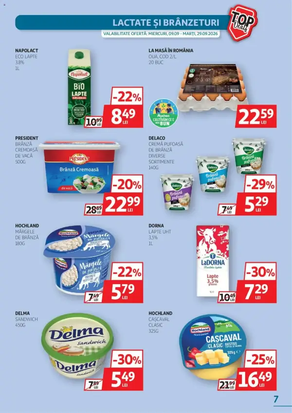 Pagina 7