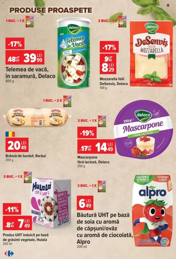 Pagina 8