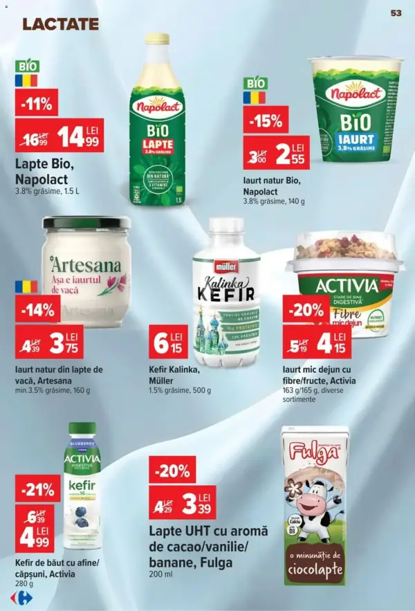 Pagina 53