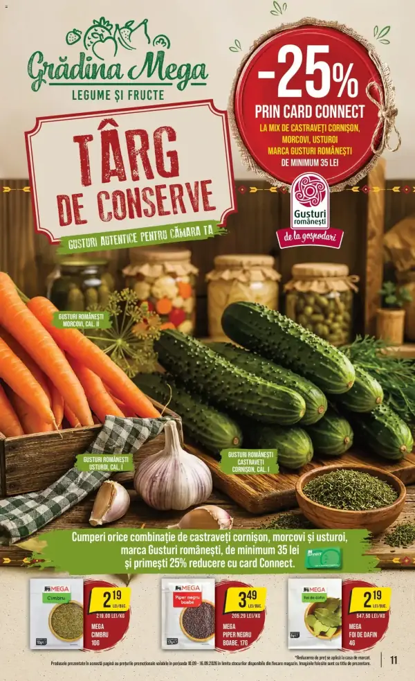 Pagina 11
