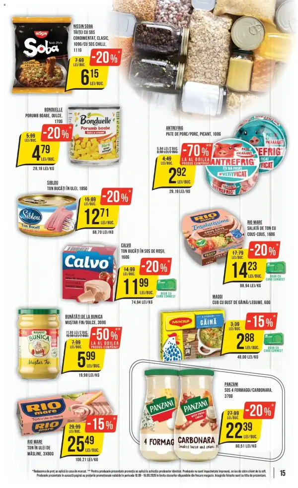 Pagina 15