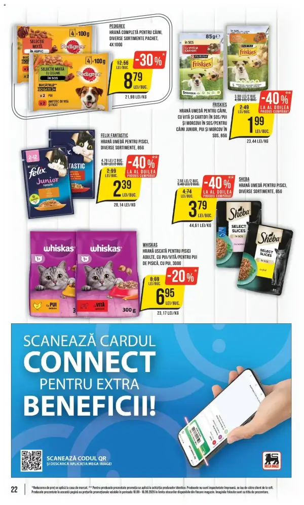 Pagina 22