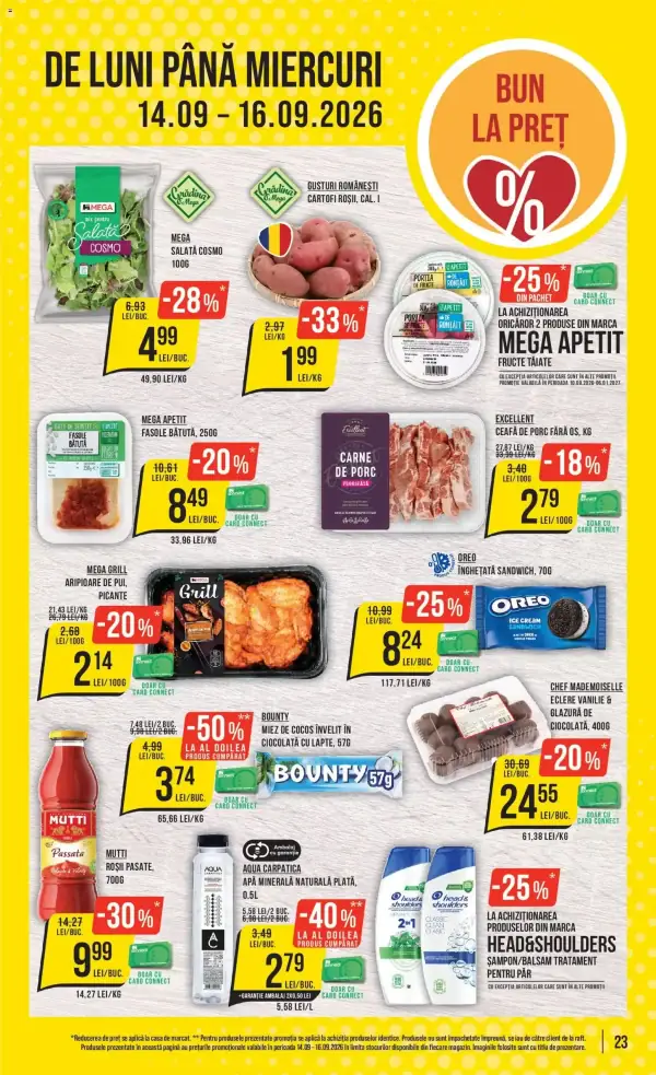 Pagina 23