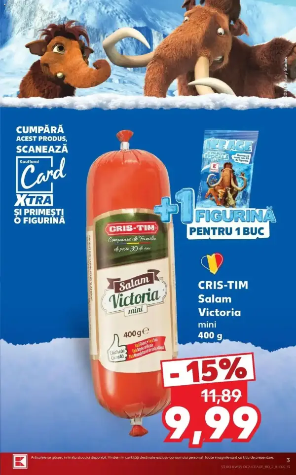 Pagina 3