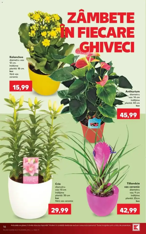 Pagina 16