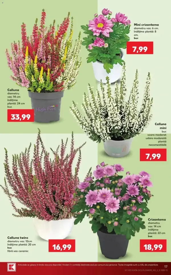 Pagina 17