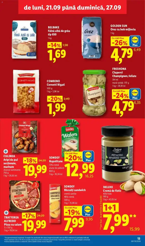Pagina 13