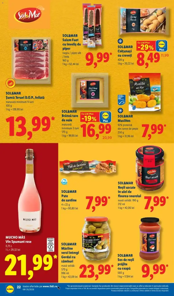 Pagina 22
