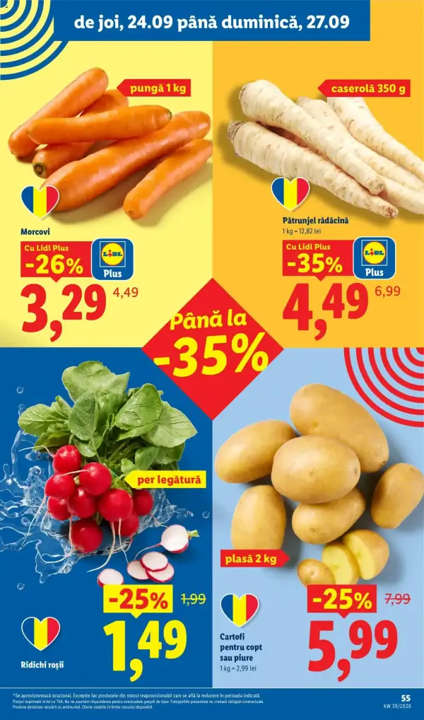 Pagina 55