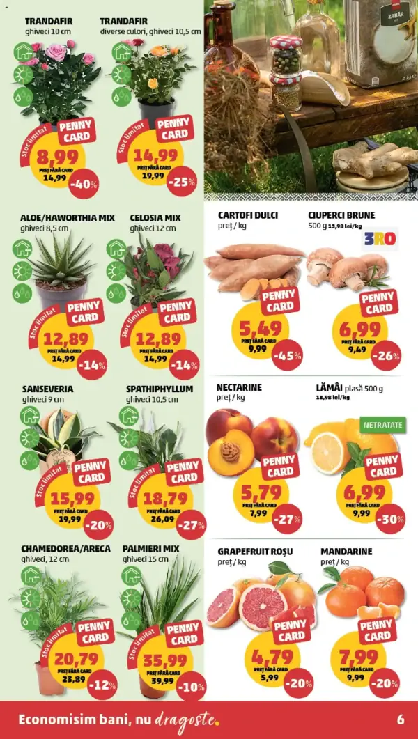 Pagina 6