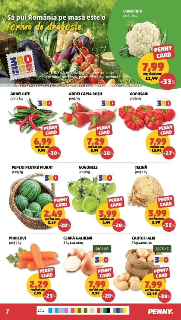 Pagina 7