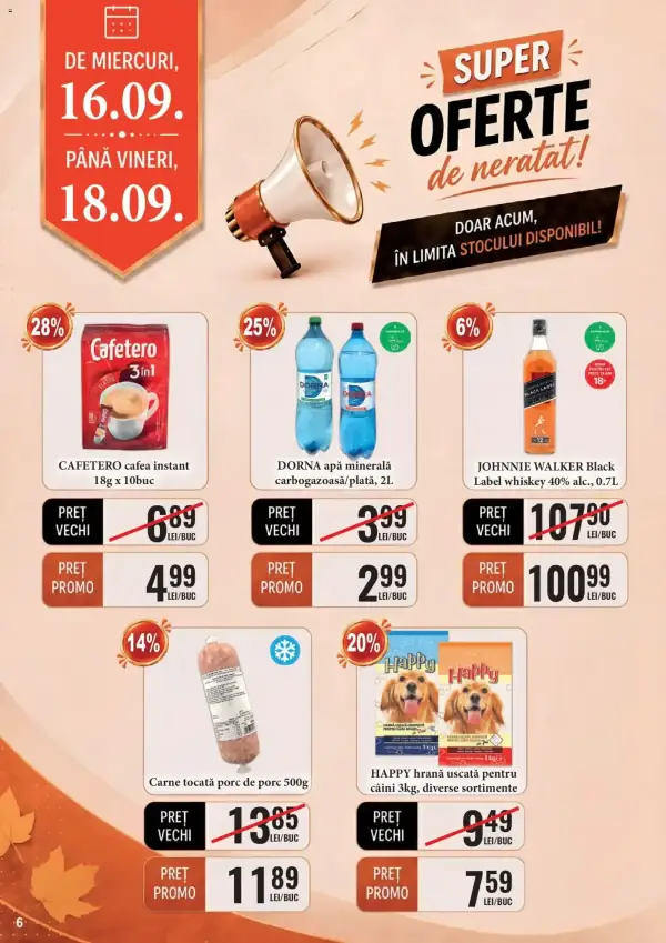 Pagina 6