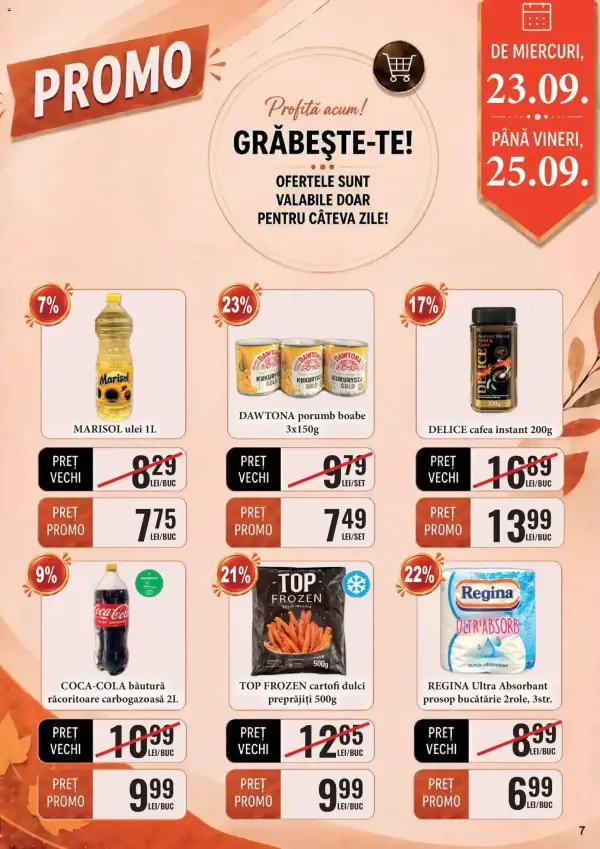 Pagina 7