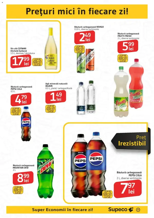 Pagina 13