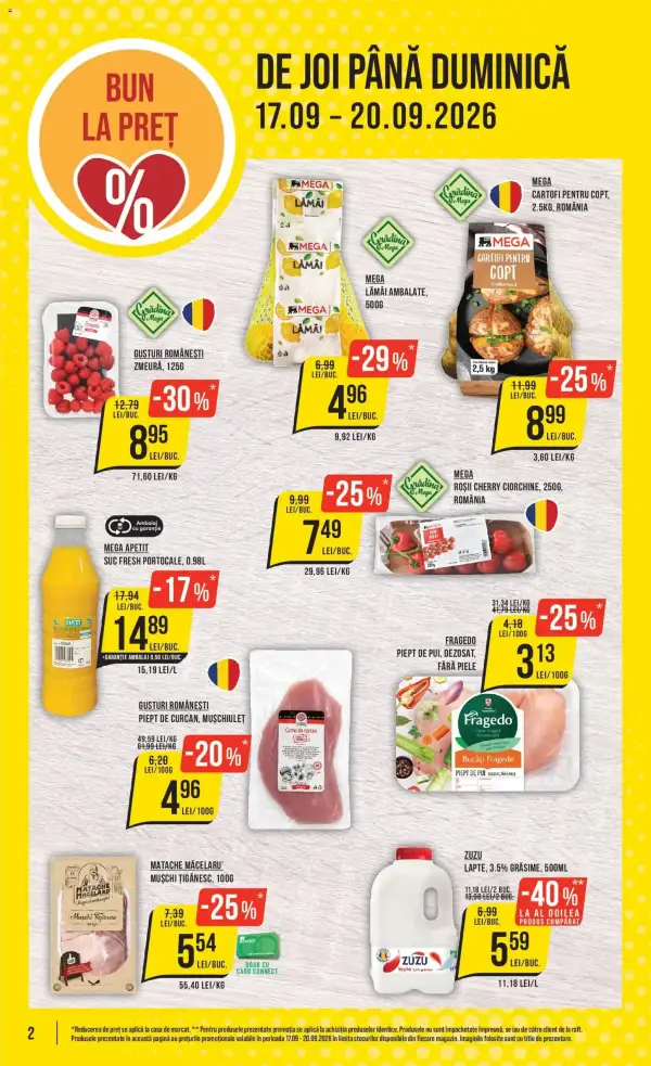 Pagina 2