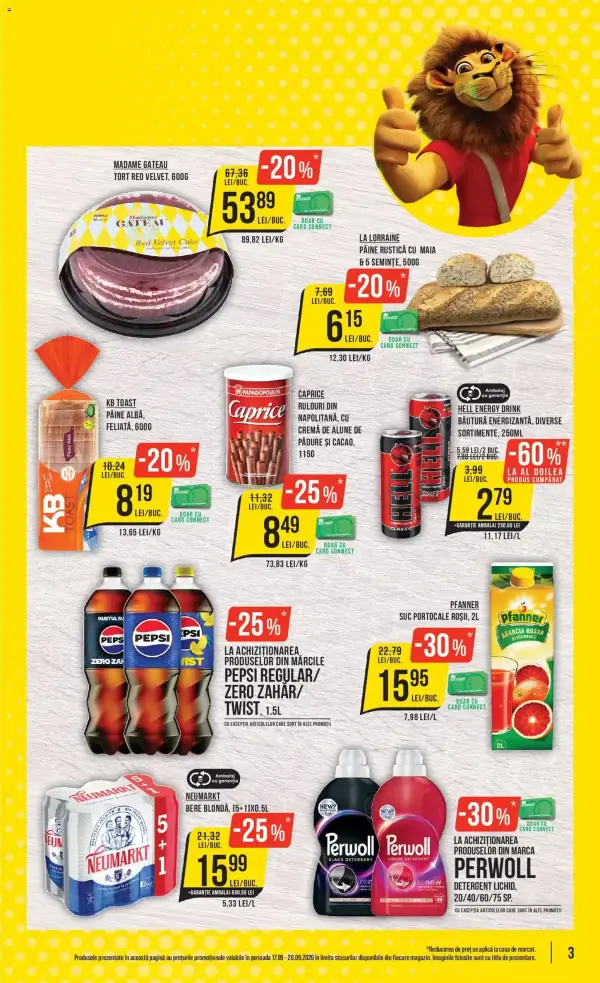 Pagina 3