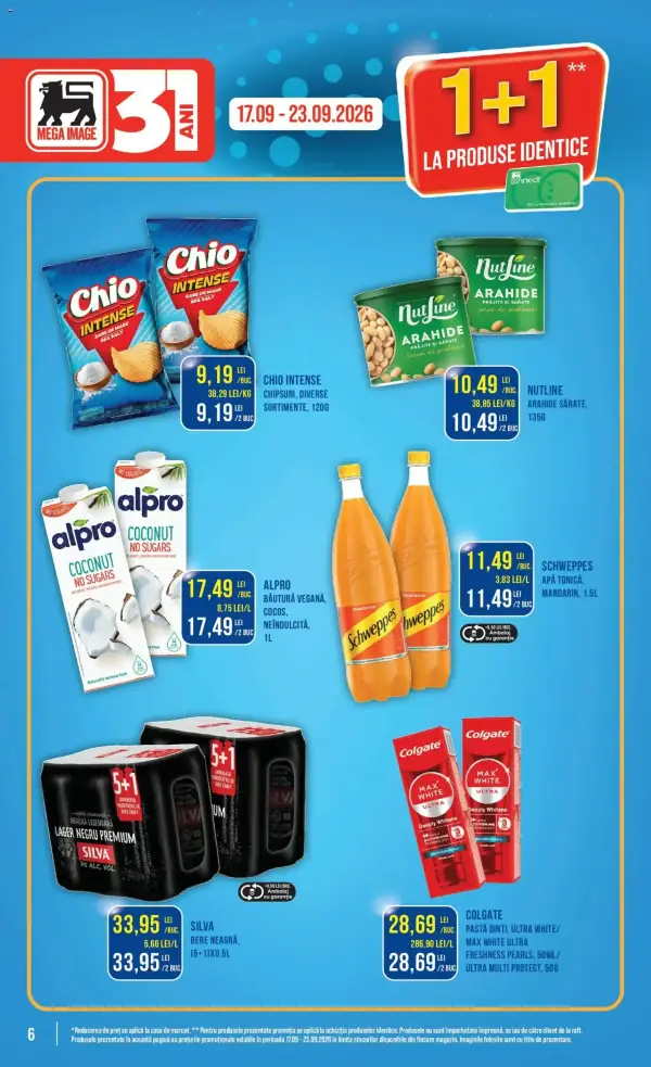 Pagina 6