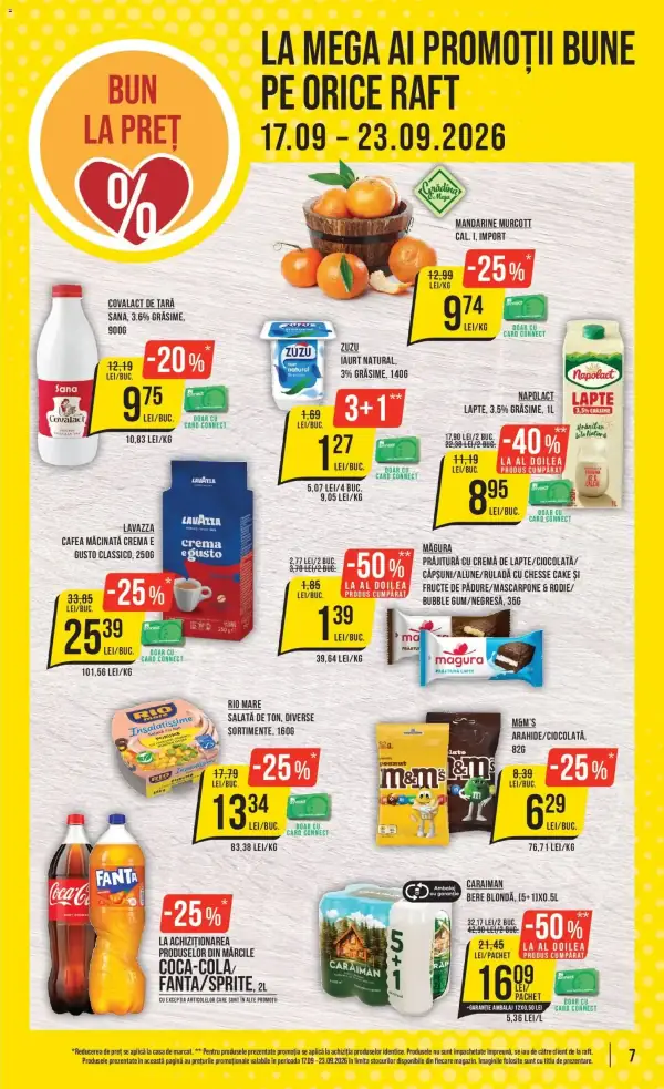 Pagina 7