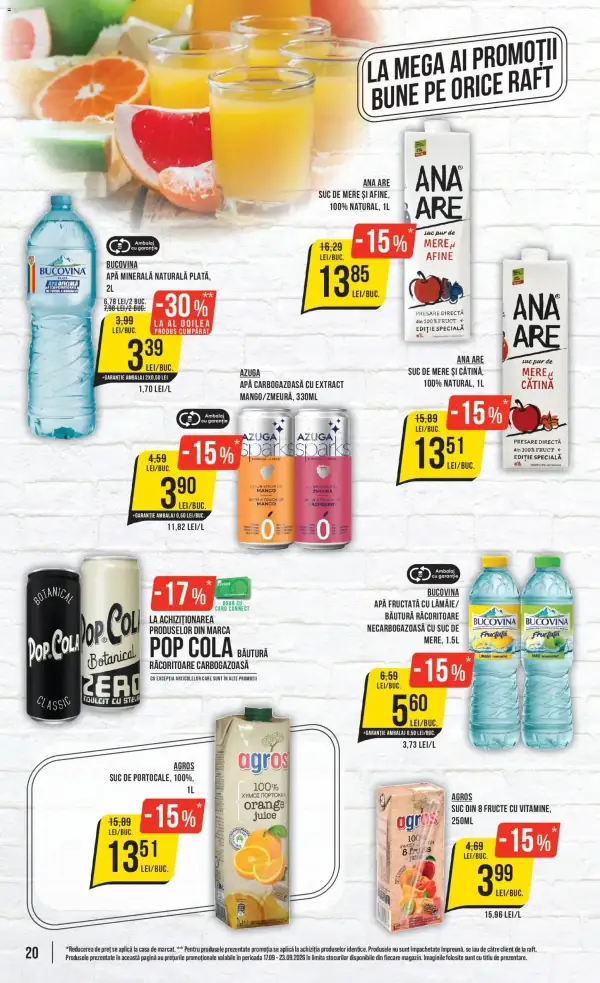 Pagina 20