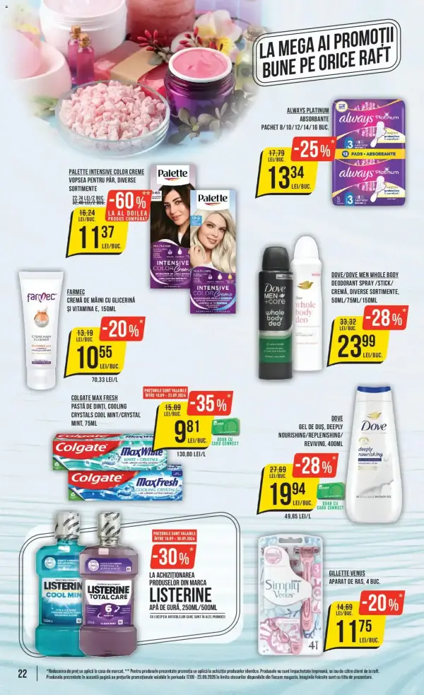 Pagina 22