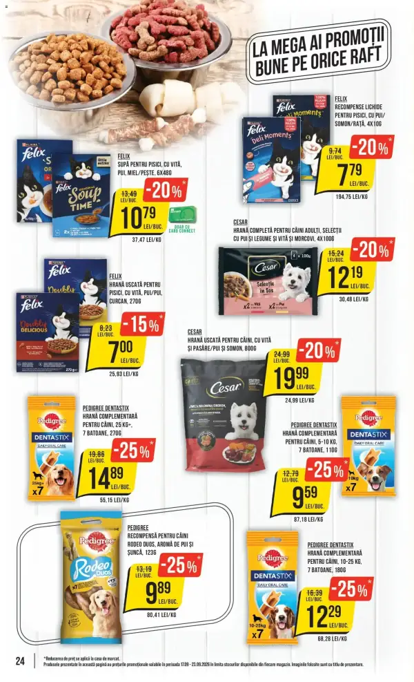 Pagina 24