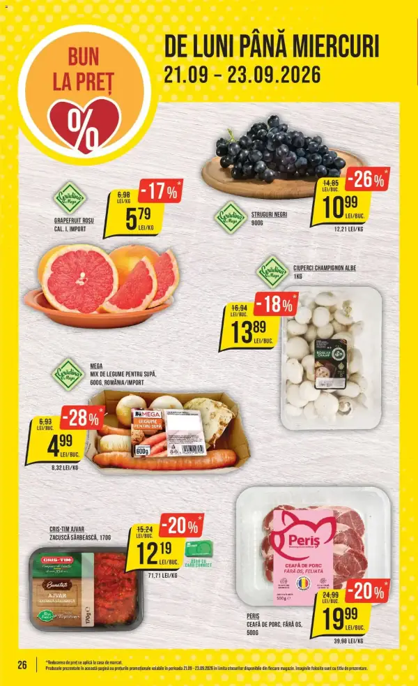 Pagina 26
