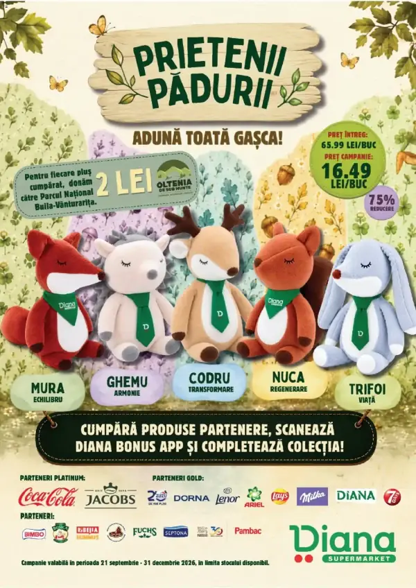 Pagina 5