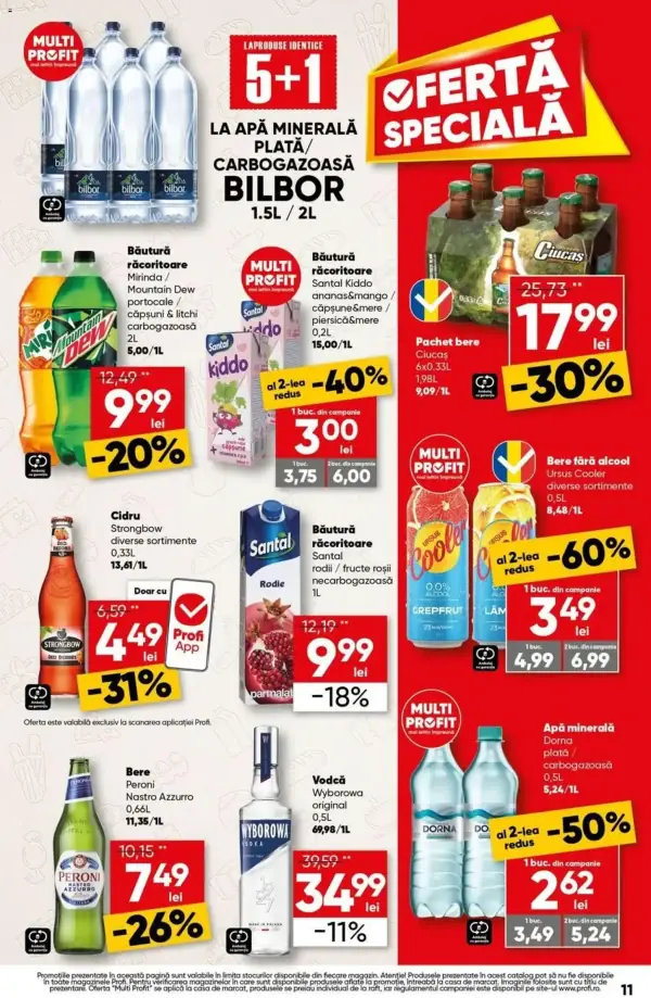 Pagina 11