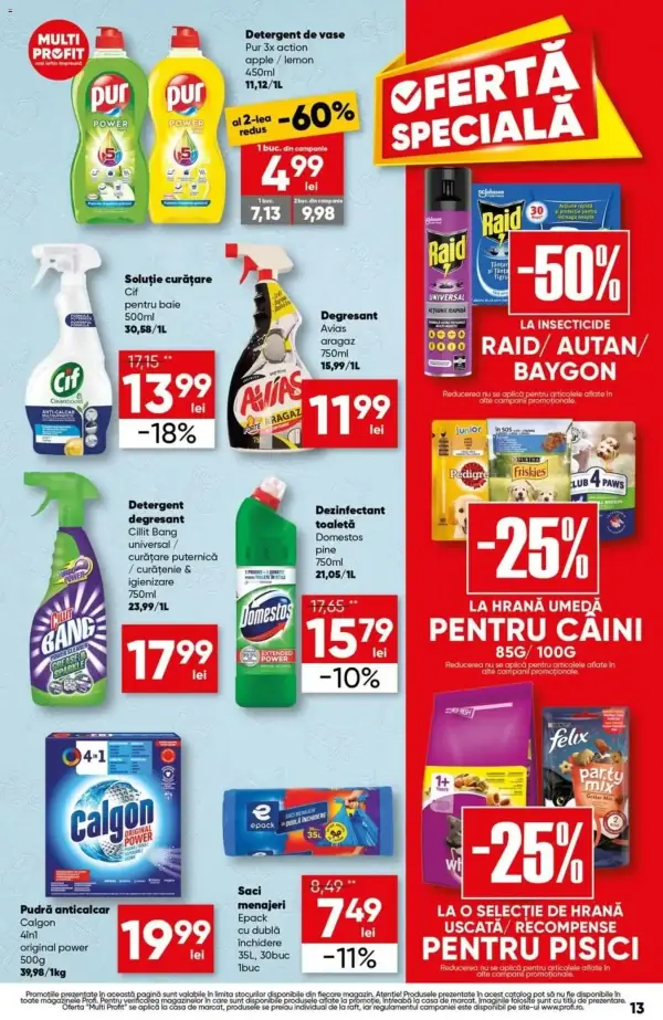 Pagina 13